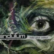 Pendulum Through The Loop