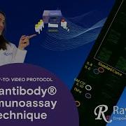 Quantibody Tutorial