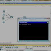 Using The Ping Command