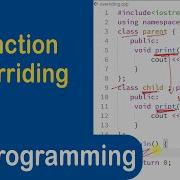 101 Function Overriding In C Runtime Polymorphism