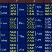 528Hz DNA Frequency UNLOCK Your Codons Converted