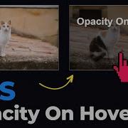 Beautiful CSS Opacity Effect On Hover CSS Overlay Text On Image
