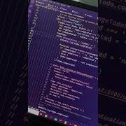 Developer Finding A Bug Coding Programming Shorts Short