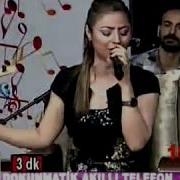 Saniye Can Gurbet Yollarında
