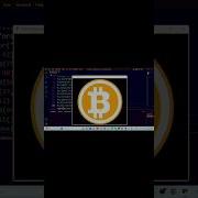 Draw Bitcoin Logo In Python Turtle Python Turtle Bitcoin Pythonturtle Bitcoin Short Viral