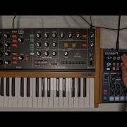 Behringer PolyD External Clock Source From Arturia DrumBrute