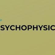 What Is The Meaning Of The Word PSYCHOPHYSICS