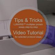 LUNARIS Multiplex Protein Immunoassay Step By Step