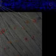 Efficient Vision Based Navigation Learning About The Influence Of Motion Blur
