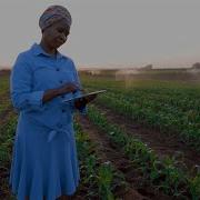 UN Climate Change Partners With Microsoft To Create Climate Data Hub