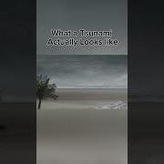 What A Tsunami Actually Looks Like Fyp Tsunami Hawaii