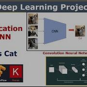 Image Classification Using CNN Deep Learning Convolution Neural Network Project Deeplearning