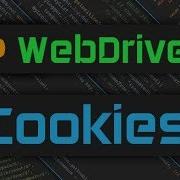 Selenium Webdriver Cookies With Python WebDriver