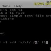 How To Replace All Tabs By Spaces In A File In BASH Shell Terminal