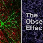 Weird Things Begin To Happen When You Examine Consciousness