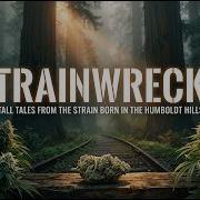 Trainwreck Легенды о сорте рожденном на холмах Гумбольдта