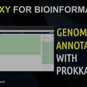 Galaxy Tutorials How To Use Galaxy For Bioinformatics Beginners Genome Annotation With PROKKA