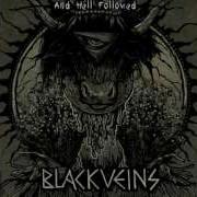 BLACK VEINS AND HELL FOLLOWED 01 NIHILISM