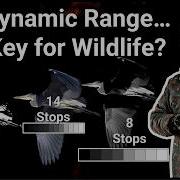 14 Stops Of Magic Understanding Dynamic Range Like Never Before