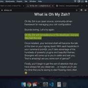 How To Fix Bash Profile PATH Not Working In OS X Catalina Terminal By Using Zshrc Instead
