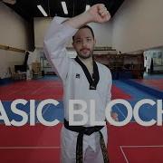 Basic Taekwondo Blocks