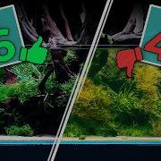 WATER PARAMETERS Masterclass 2024 The Essential Guide For A Thriving Aquarium