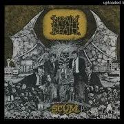 100 Sub Special Napalm Death You Suffer Remixed And Remastered