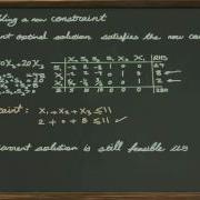 Sensitivity Analysis Adding A New Constraint Part 2 6