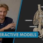 Interactive 3D Models