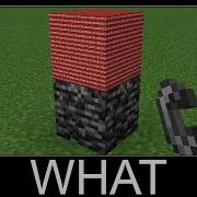 WAIT WHAT Minecraft 45