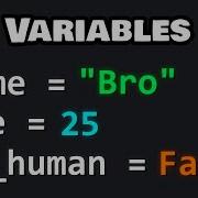 Learn Python VARIABLES In 10 Minutes