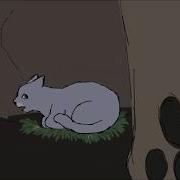Tigerstar At Bluestar