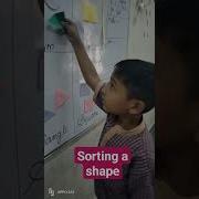 Shapes And Patterns Sorting Activity How To Sort Shapes In Classroom Video Viral Shorts