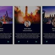 Responsive Profile Cards With Hover Effect Using HTML CSS Bootstrap