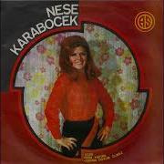 Neşe Karaböcek Aşkına Doyum Olmaz