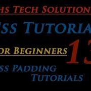 Css Tutorial For Beginners 13 Css Padding Tutorials How To Write Padding Properties In CSS