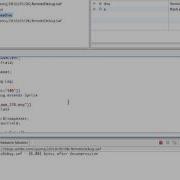 Remote Debug Conditional Breakpoints