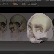038 Spotlight Reference Modeling