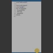 Create A Flower Using Python In Mobile My First Project
