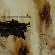 Nine Inch Nails Downward Spiral Unmastered Instrumental