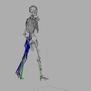 OpenSim Full Body Model Walking