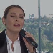 Funda Arar Zor Yıllar Şeffaf Oda