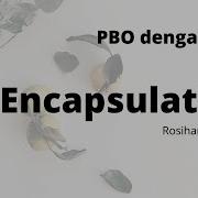 Tutorial Pemrograman Java Bag 15 Encapsulation Pengkapsulan