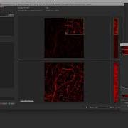 Imaris 9 3 Microscopy Image Browser And Deconvolution