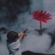 Soft Kill Veil Of Pain Feat N8NOFACE