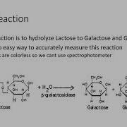 Lab 9 Activity Assay