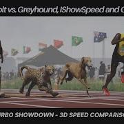 Usain Bolt Vs Cheetah Vs Greyhound Vs IShowSpeed 100m Race 3D Speed Comparison