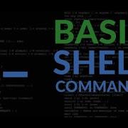 Shell For Absolute Beginners Part 2 Basic Commands