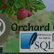 Orchard Core Database Administration With DB Browser For SQLite