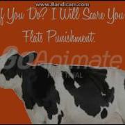 Cow Error 245